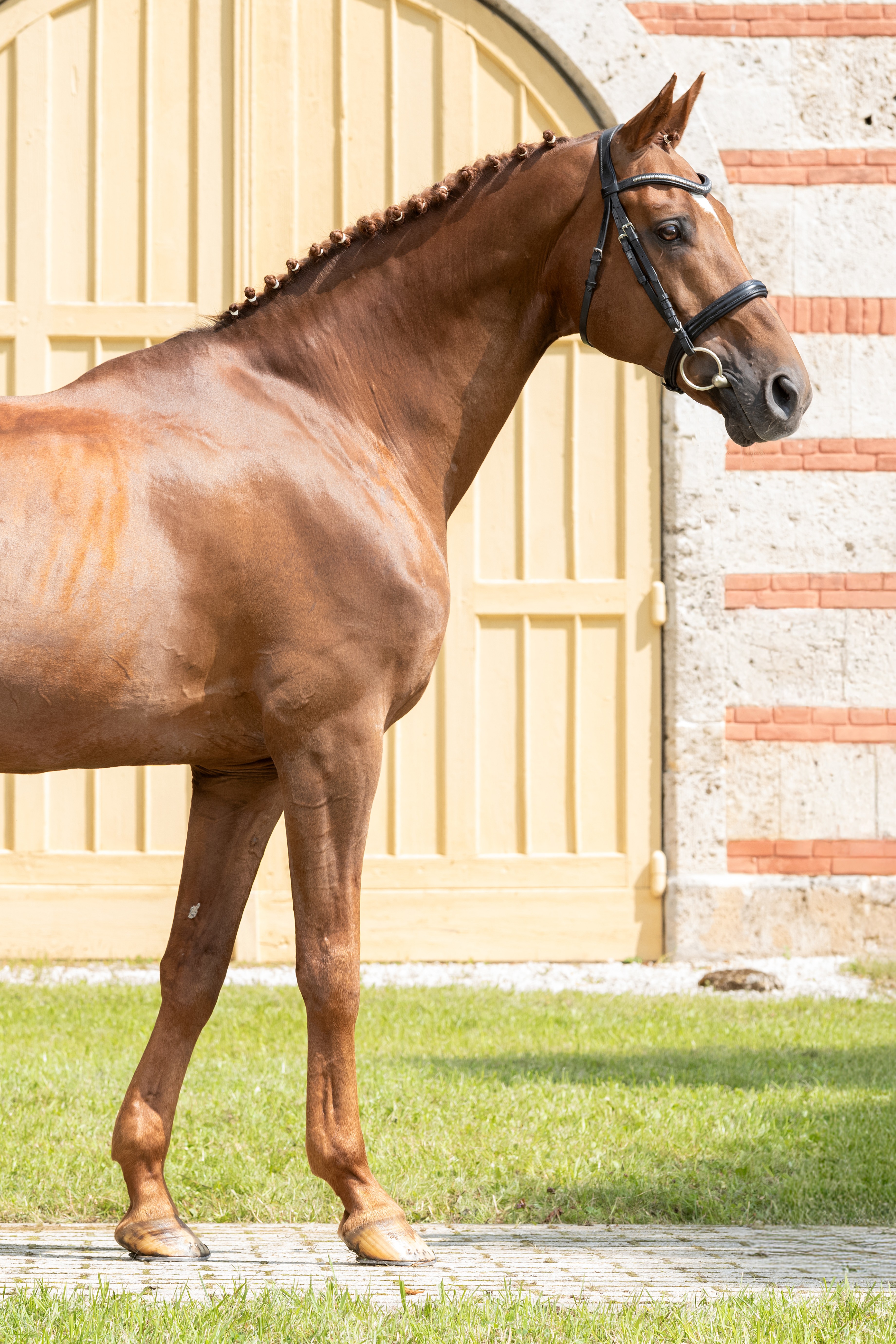 Propriano de l'Ebat – photo principale